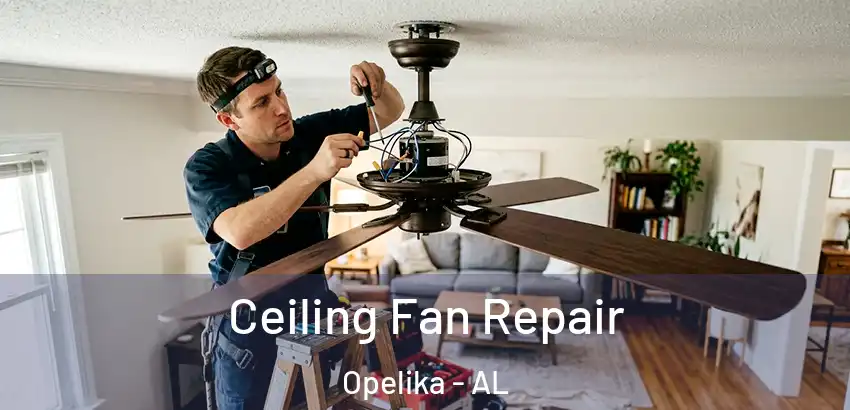 Ceiling Fan Repair Opelika - AL